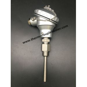 Inserted Temperature Sensor RTD PT100 With Waterproof Head