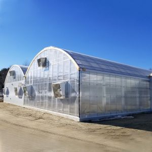Agricultural Polycarbonate Sheet Greenhouse Turnkey Project Serre Agricole
