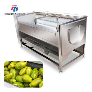 Large scale brush Washing cleaning and peeling machine Ginger Potato Carrot Taro