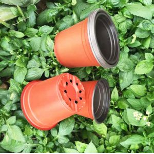 Double colour 2 gallon nursery garden plastic flower pots