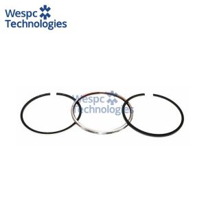 WESPC 4181A105 piston ring kit for Perkins 700 Series diesel engines