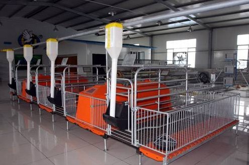 Buy International Brand Of RderCorpPig Equipment  at wholesale prices