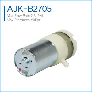 high flow micro vacuum pump