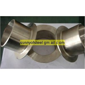 ASTM A403 ASME SA-403 WP304H stub end