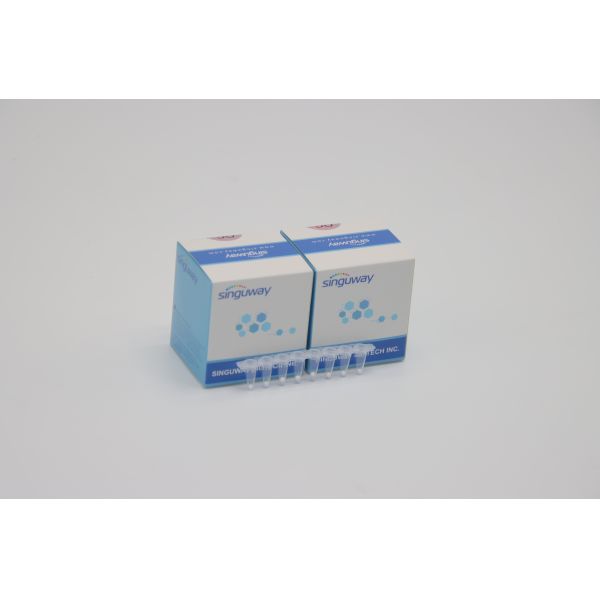 Buy High Stability HCV Real Time PCR Kit HBV Hepatitis B Rapid Test Kit Lab Reagent ISO13485 at wholesale prices