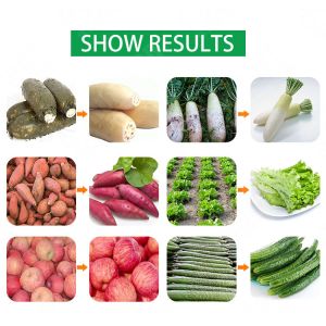 Automatic high pressure fruit vegetable washer price air bubble vegetable