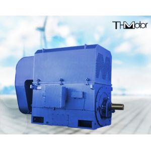 94.5% Three Phase Asynchronous Squirrel Cage Motors 3600rpm