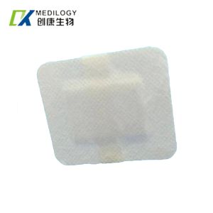China Non Woven PU Film Dressing Release Paper Sterile Adhesive Dressing on sale