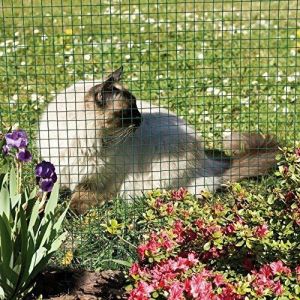 Leveled Mesh Surface Welded 1"X1" Chicken Mesh Fence