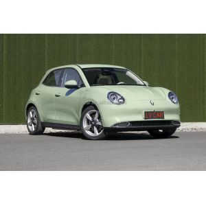 2024 ORA Good Cat Electric Car with 49.9KWH Battery Capacity and 210N.m Maximum