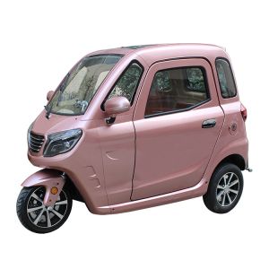 China Enclosed Body 3 Wheel Electric Tricycle 1500W For Disabled on sale