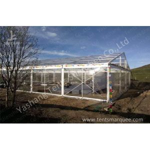 Wind Resistant Transparent Fabric clear event tent Canopy Structure