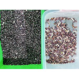 Intelligent CCD Camera 6 Chute Kidney Bean Color Sorting Machine with Easy