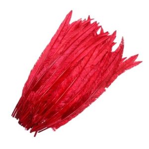 Party Decoration Nandu Plumes Feather Dyed Pattern for Worldwide Shipping