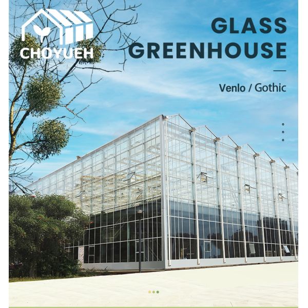 Hot Galvanzied Steel Pipe Agricultural Venlo Glasshouse Turnkey Project