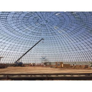 Modern Design Space Frame Roofing Systems Steel Structure Warehouse Plant