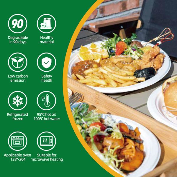 White 3 Compartment Bagasse Tray Original Color Dinner Sugarcane Bagasse Pulp 10 Inch Round Plates