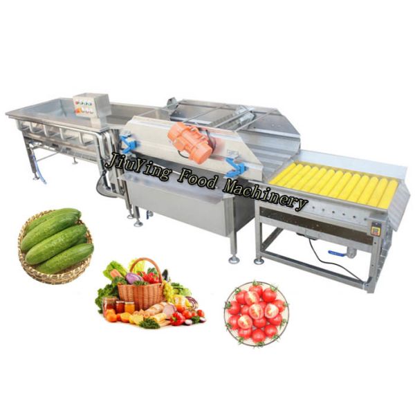 Buy Automatic Salad Fruit Air Bubble Cleaning Production Line Customized at wholesale prices