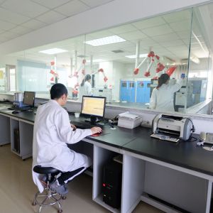 HALAL 80mesh 120mesh Dehydrated Garlic Powder In Low Bac