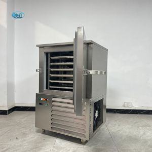 Temperature Control Blast Freezer Container Seafood Preservation For Restaurant