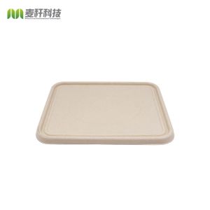 Disposable Biodegradable Sugarcane Bagasse Takeaway Lunch Food Tray with Lid