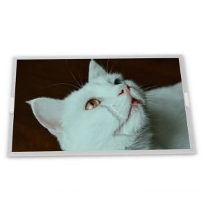 Quality SP14N02L6ALCZ Modules 5.1-Inch WLED Custom ODM LCD Display Module 240*128 Resolution for sale