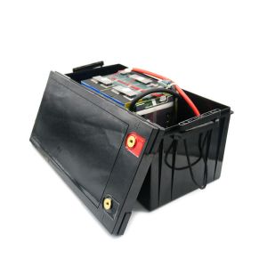 Cost Effective Fast Delivery Stable Structure Marine Lithium Battery LiFePO4