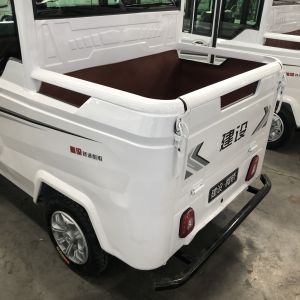Passenger Enclosed Adults 650W Tuk Tuk Cargo