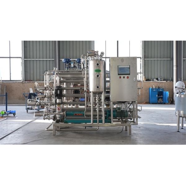 Customizable Mango Puree Plant with Stainless Steel Construction