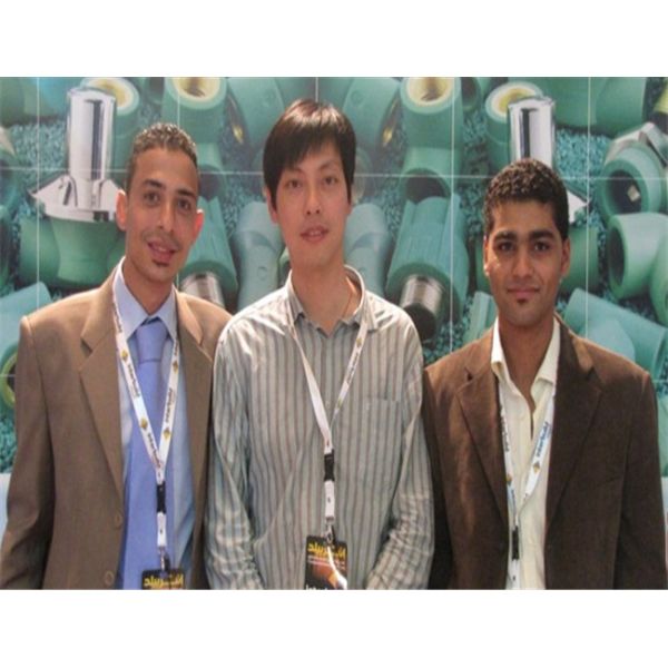 DSTHERM INDUSTRIAL LIMITED