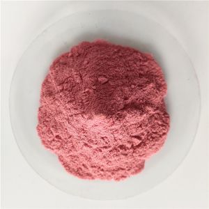 Wholesale Instant Powder Drink Dried Waxberry In Bulk