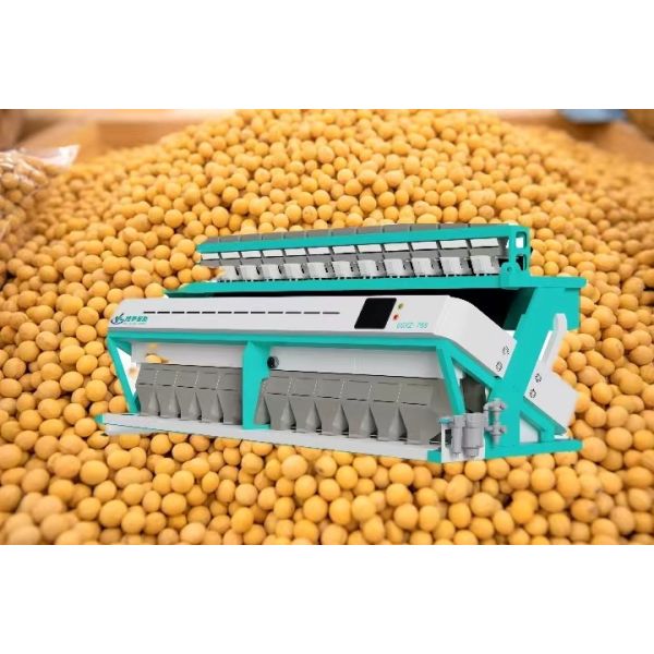 Buy High Yield Soybean Sorting Machine 11T/H-19T/H Grain Colour Sorter Machine at wholesale prices