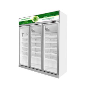 Durable Cold Drinks Refrigerated Displays Fridge drink Display Refrigerator