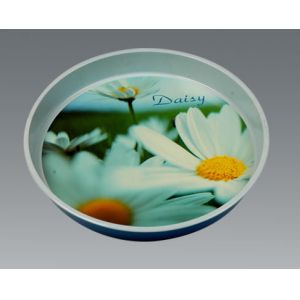 Customized Gavanlized Tinplate Round Tin Tray With Printing