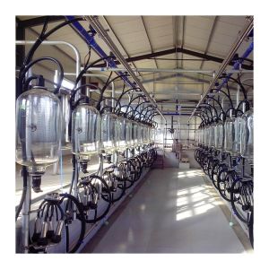 China PVC pipeline 380V Herringbone Milking Parlor With Electronic Milk Meter on sale