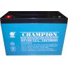Champion Long Life Design AGM Battery 12V120AH/12V135AH/12V150AH Storage UPS Battery for sale