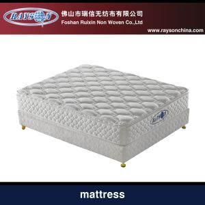 10 Inch Mattress Height Anti-dust King Size Pocket Spring Mattress , Queen Full