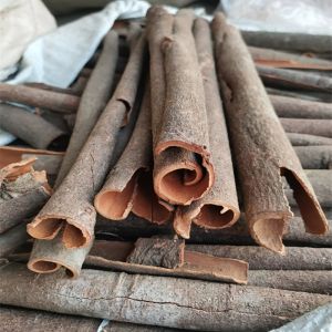 Single Herbs And Spices Cassia Tube With Skin
