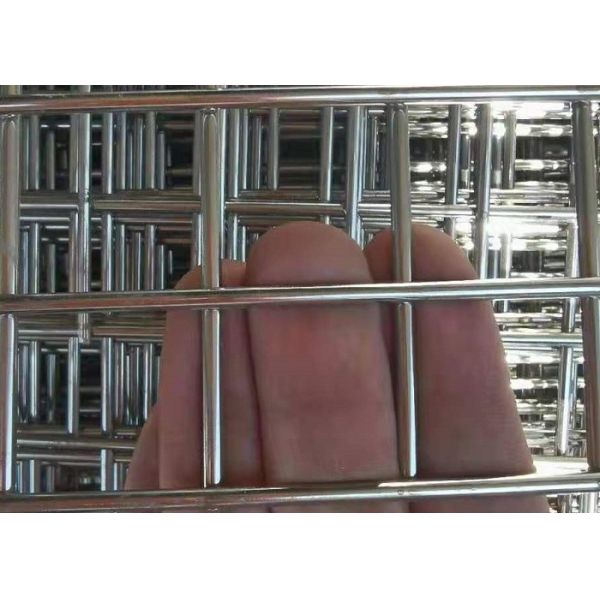 Buy 2x1m Stainless Steel Welded Wire Mesh Panel For Construction at wholesale prices