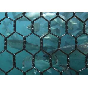 3×4cm 5x6cm Gabion Mesh Basket Polyester Kikko Net For Deepsea Fish Breeding