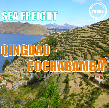 Buy 33 days Global Sea Freight Service From Qingdao to Cochabamba at wholesale prices