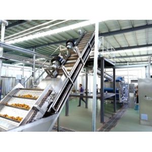 Professional Pineapple Fruit Juice Production Line 2000KG 380V 75kw