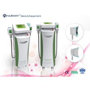 China cryolipolysis freeze membrane with ce certificate on sale