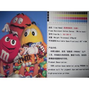 Eco Solvent Canvas of A-Starjet printer