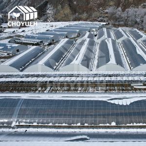 Quality 4mm Solar Greenhouse With High Rain Resistance High Light Transmission for sale