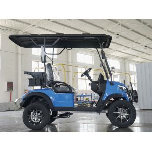 Customized Colors 2 Seater Golf Cart with LCD Instrument and Scorecard Holder