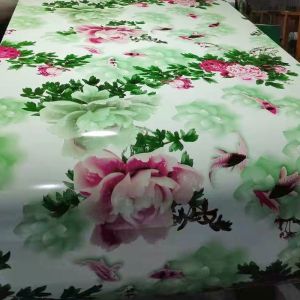 PPGI PPGL Galvanized Steel Coils Flower Patten 0.8mm Thickness