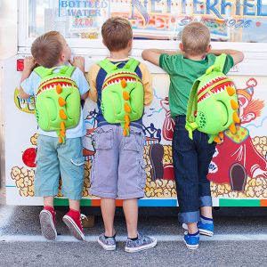Softback Toddler Dinosaur Backpack , Cute Preschool Backpacks 0.5KG