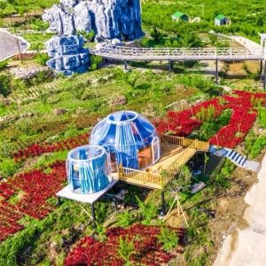 Diameter 4m Bubble Tent Hotel UV Resistance Garden Bubble Tent