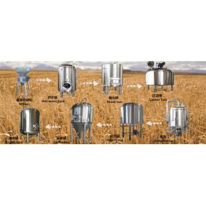 Pub Microbrewery Beer Fermentation Equipment Ss Conical Fermenter 220V / 380V